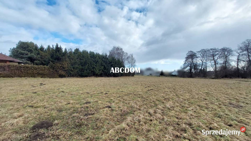 Cholerzyn działki budowlane 166 ara 3Mn2