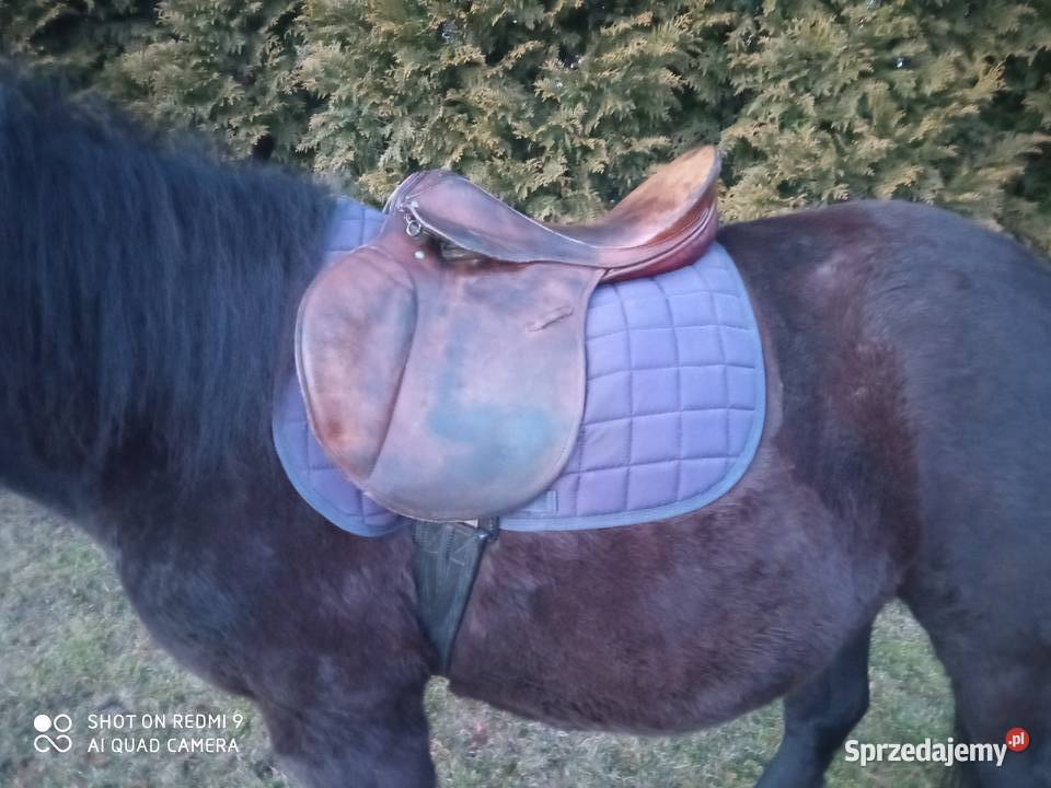 Sprzedam siodło Książ Wielki sprzedam
