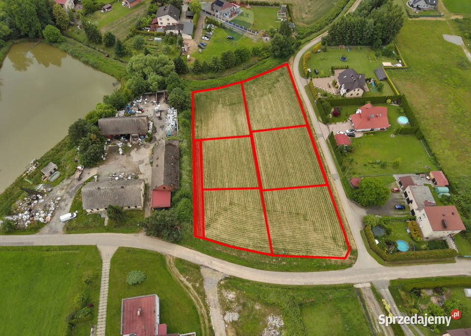 Działki budowlane Bestwina Hallera 0m