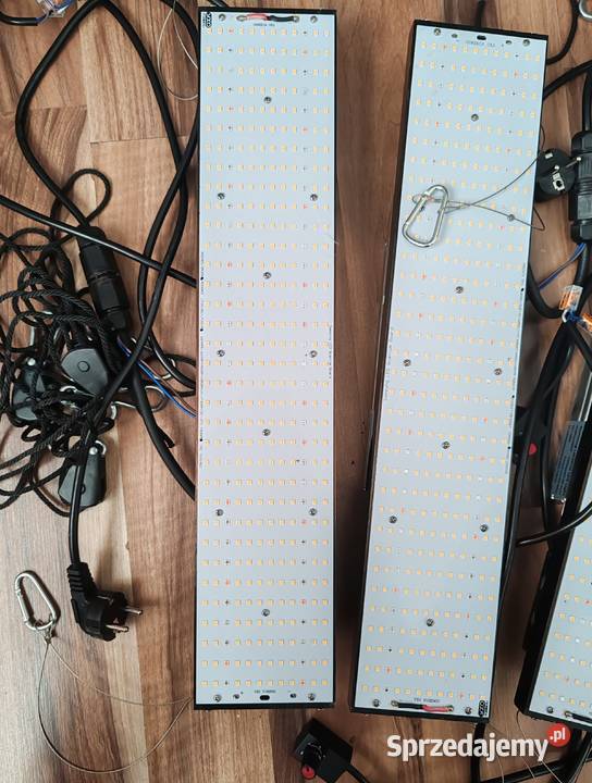 Lampa do uprawy roślin Barlinek