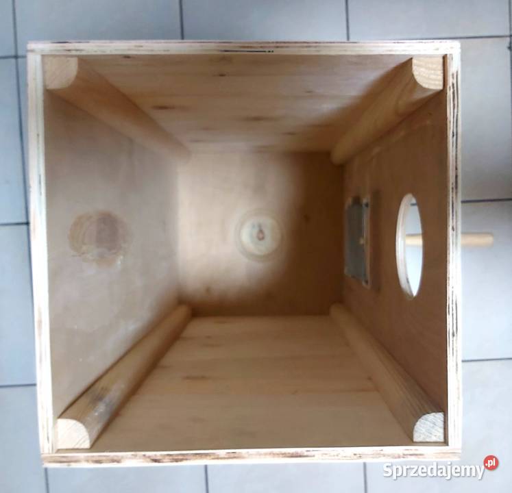 budka lęgowa papuga Rybnik