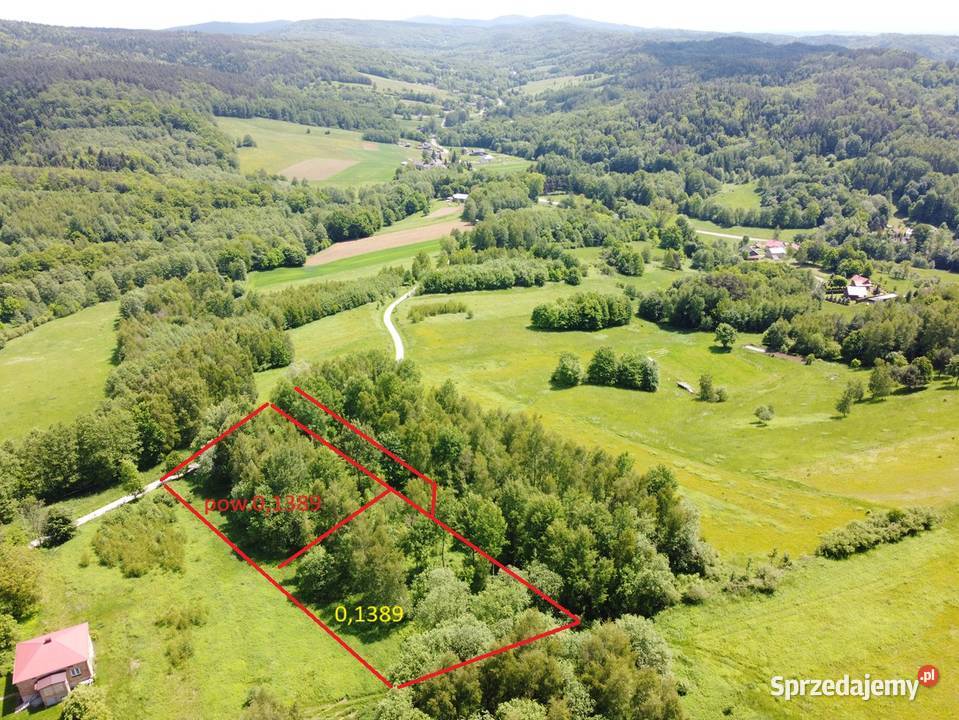 Działki budowlane Pietrusza Wola