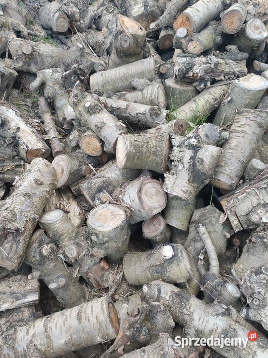 Sprzedam tanio drewno na opał lubelskie Krasnystaw
