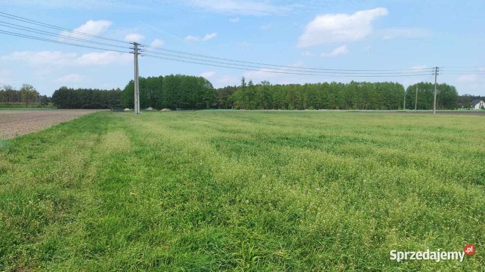 Sprzedam działki prąd Czeszewo