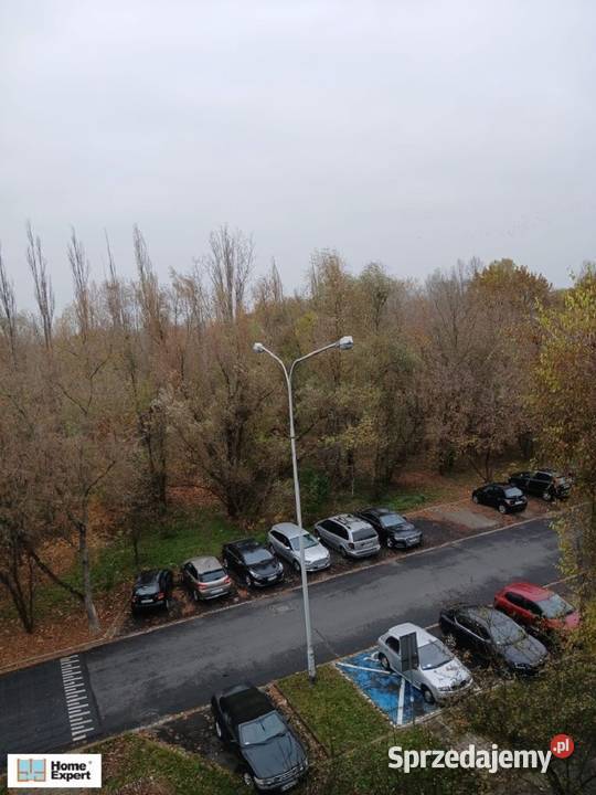 2pok 51met Skrzydlatej ROZKŁADLOGGIAKOMÓRKA Wrocław