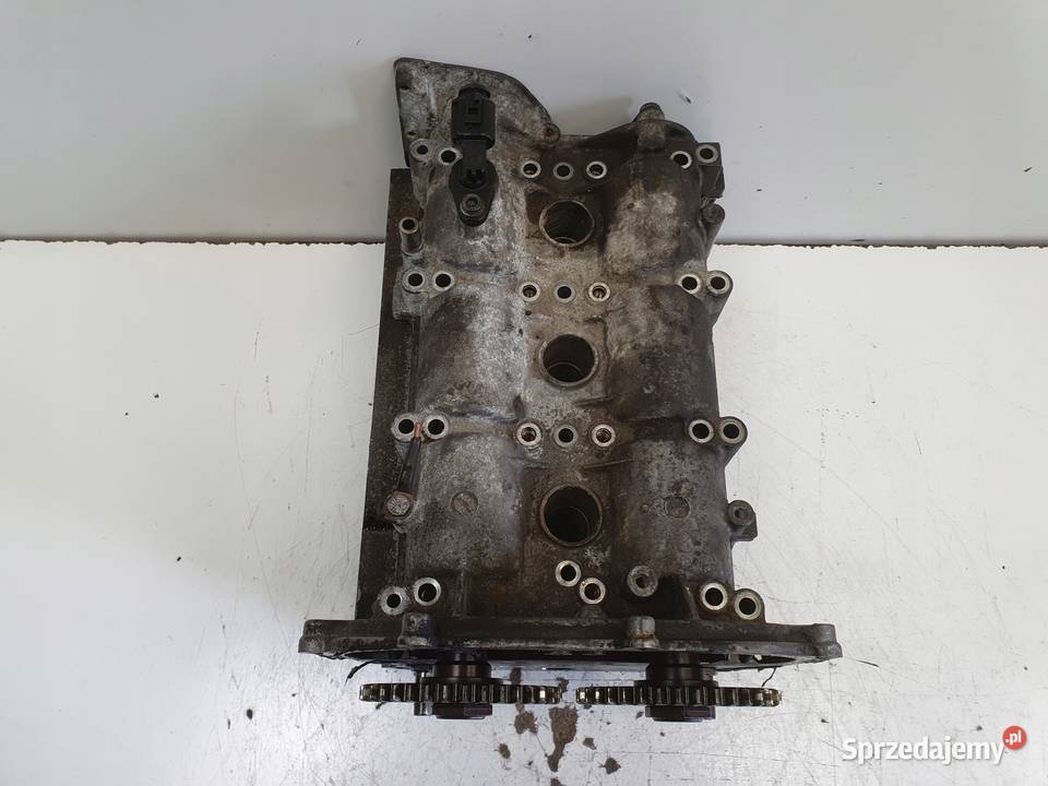 VW Polo IV 12 12V GŁOWICA CYLINDRÓW wałki osobowe Głowice cylindrów Janów