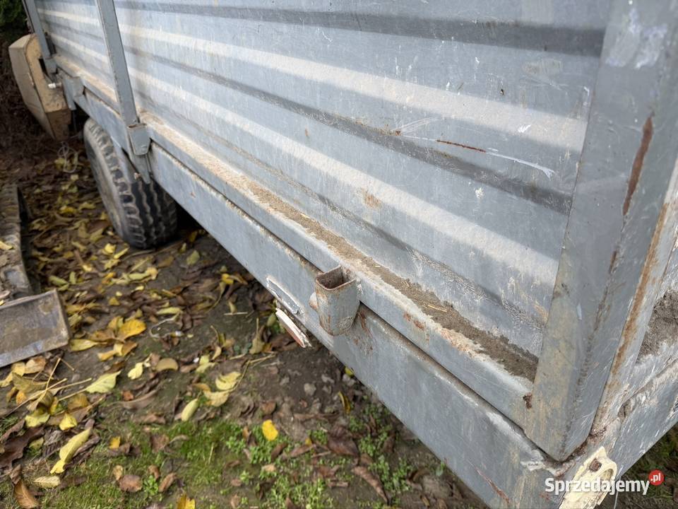 Burty Rozrzutnika czarno Białostocka Skowieszyn