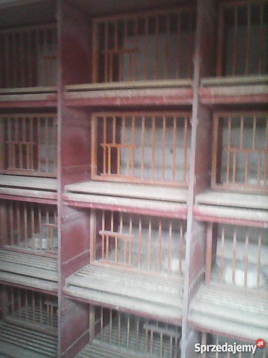 Sprzedam gołębnik drewniany 5 cel Białogard sprzedam
