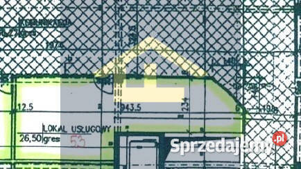 Lokal 265m2 Otwock