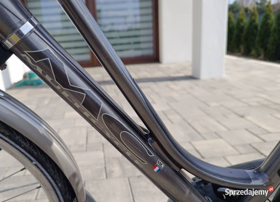 Multicycle Glide Holenderski Damka 28 Sram Dual Żuromin