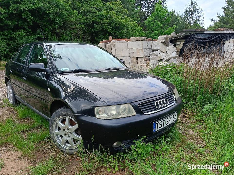 Audi A3 19 TDI świętokrzyskie
