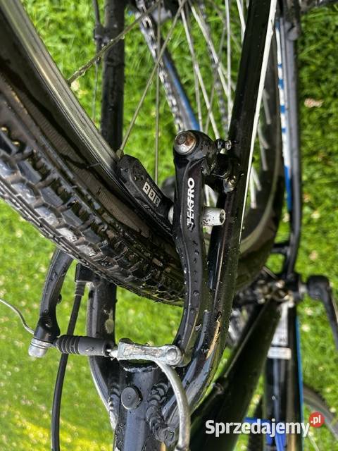 Rower Giant Górskie, MTB Witków sprzedam