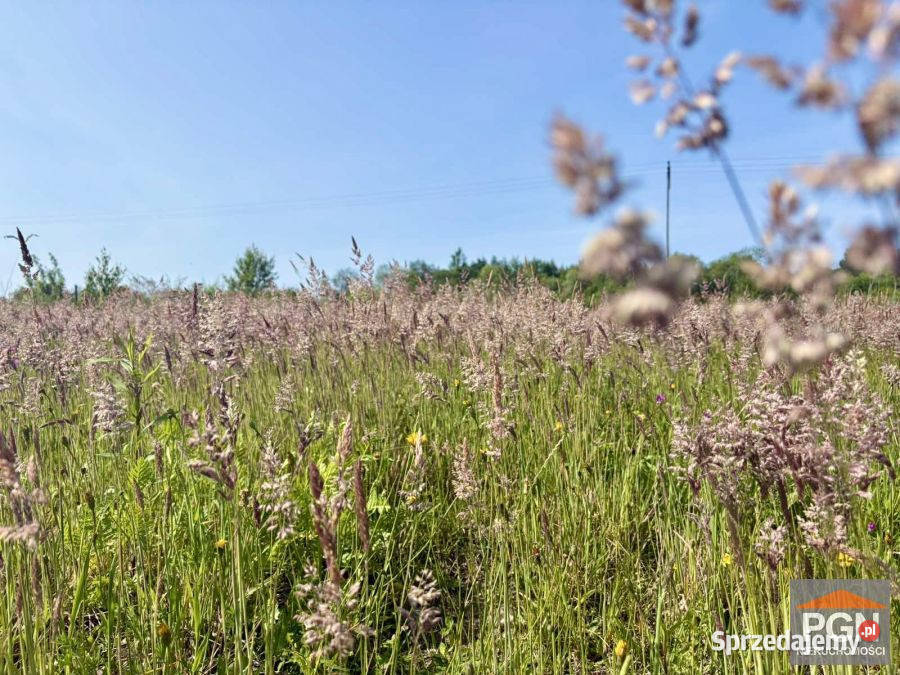 Sprzedam działka Trzebiatów 929m2 929m2