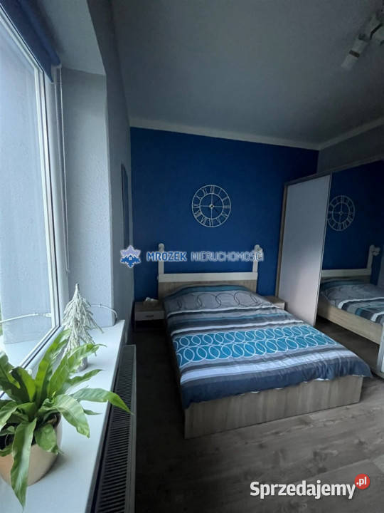 Kamienicę sprzedam 926m2 Zebrzydowice