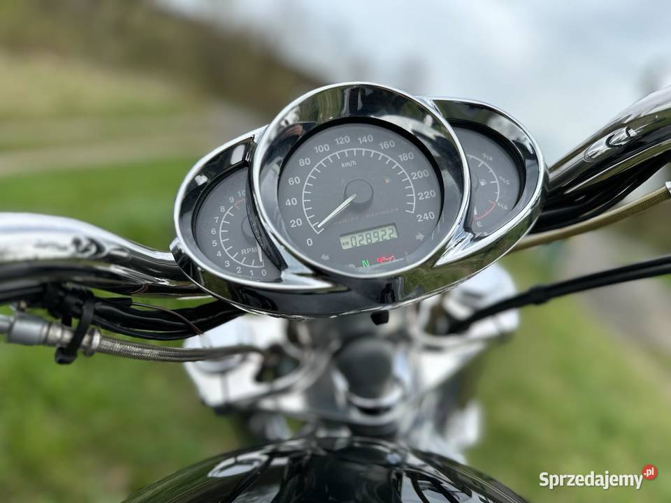 Harley Davidson Vrod Sulechów