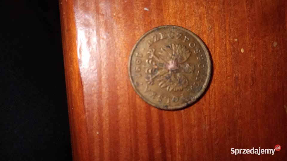 Moneta 5 groszy z 1991r dolnośląskie Bożków sprzedam