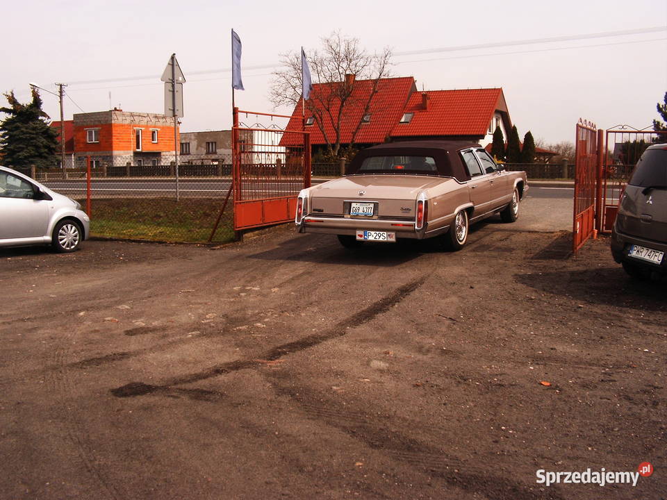 Lincoln 1990 r 45 Etylina do ślubu złoty Września