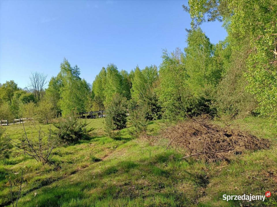 Dom na działce 4200 m2 w Gródku gm Policzna Gródek sprzedam