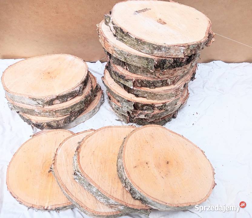 PLASTRY DREWNA KRĄŻKI 10 SZTUK BRZOZA 530 Pozostałe Zduńska Wola