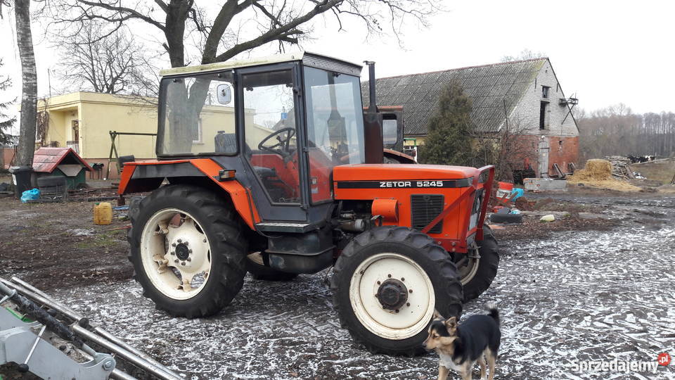 zetor 5245 z turem kujawsko-pomorskie Rojewo
