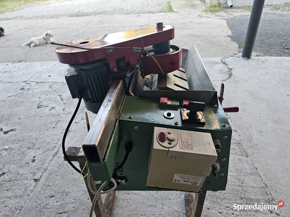 OSTRZAŁKA Rząśnia