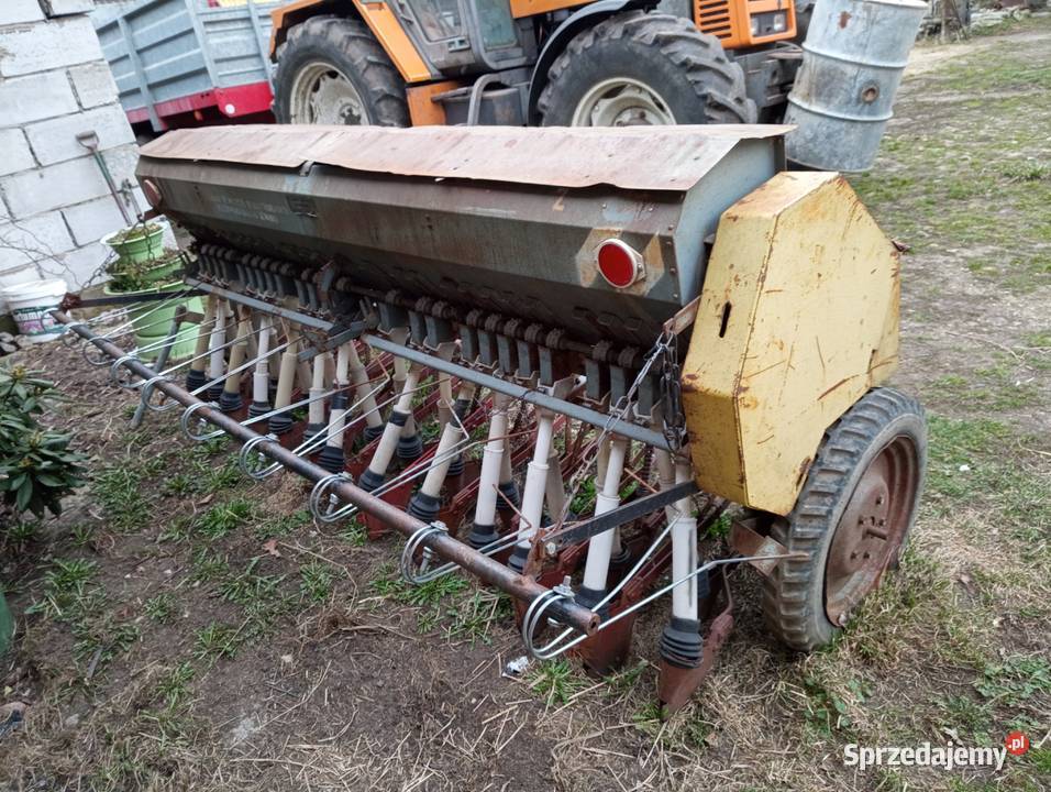 Siewnik poznaniak Godlewo