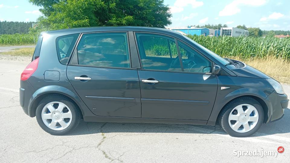 Sprzedam Renault scenic grafitowy wielkopolskie Rzetnia sprzedam