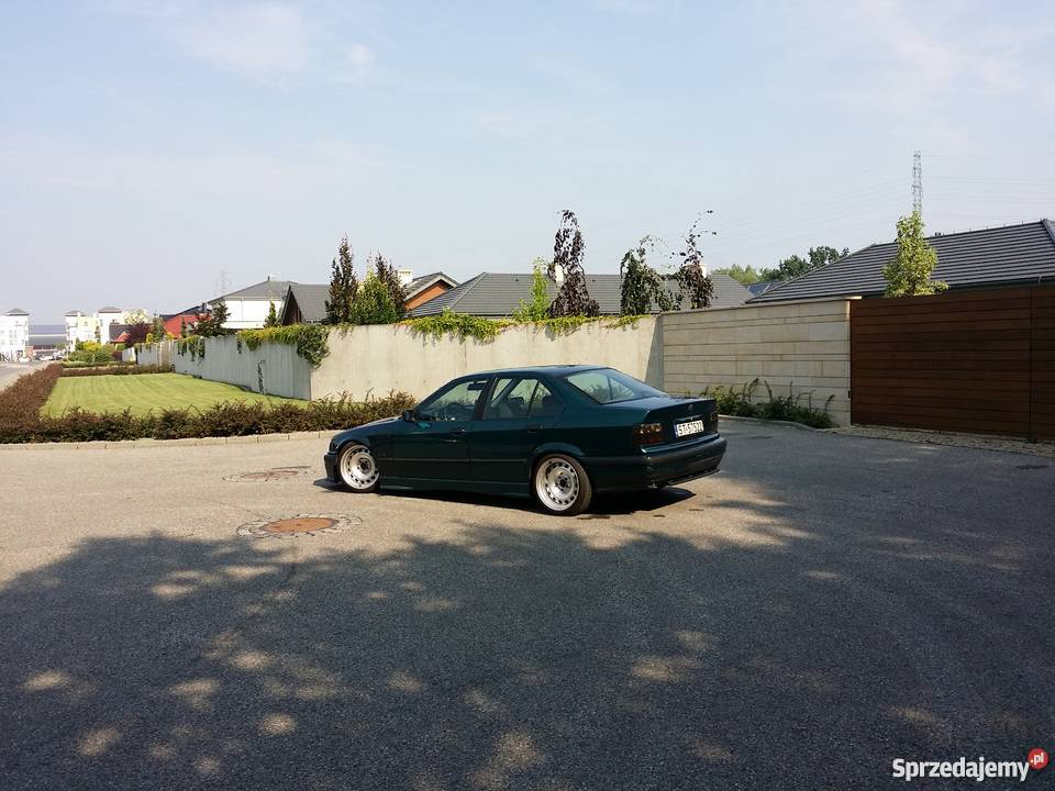 BMW E36 zielony