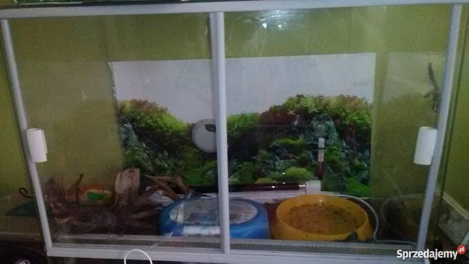 terrarium na sprzedaż plus wszystkie dodatki Kielce