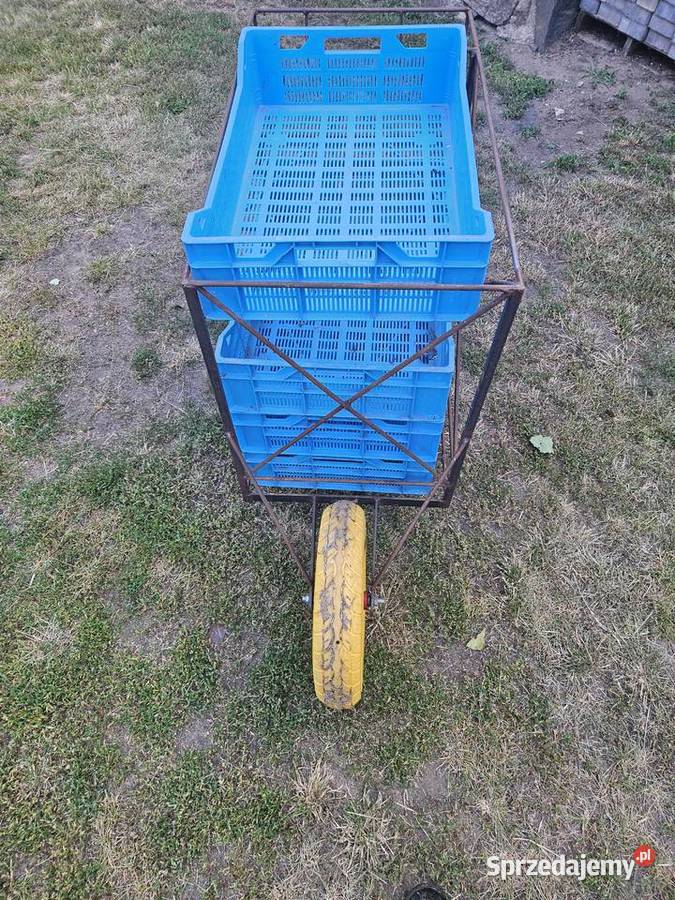 Wózki do zbioru malin Majdan