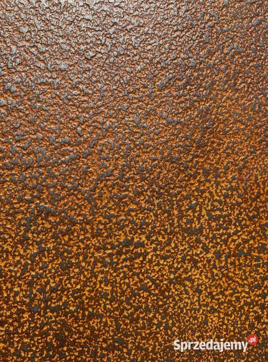 Kamień w Rolce CORTEN TERRA 280X122 Warszawa sprzedam