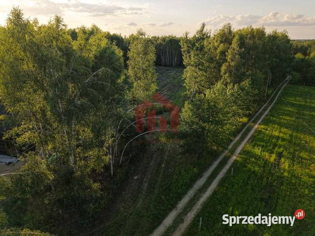 Działka 900m2 Czarna Sędziszowska