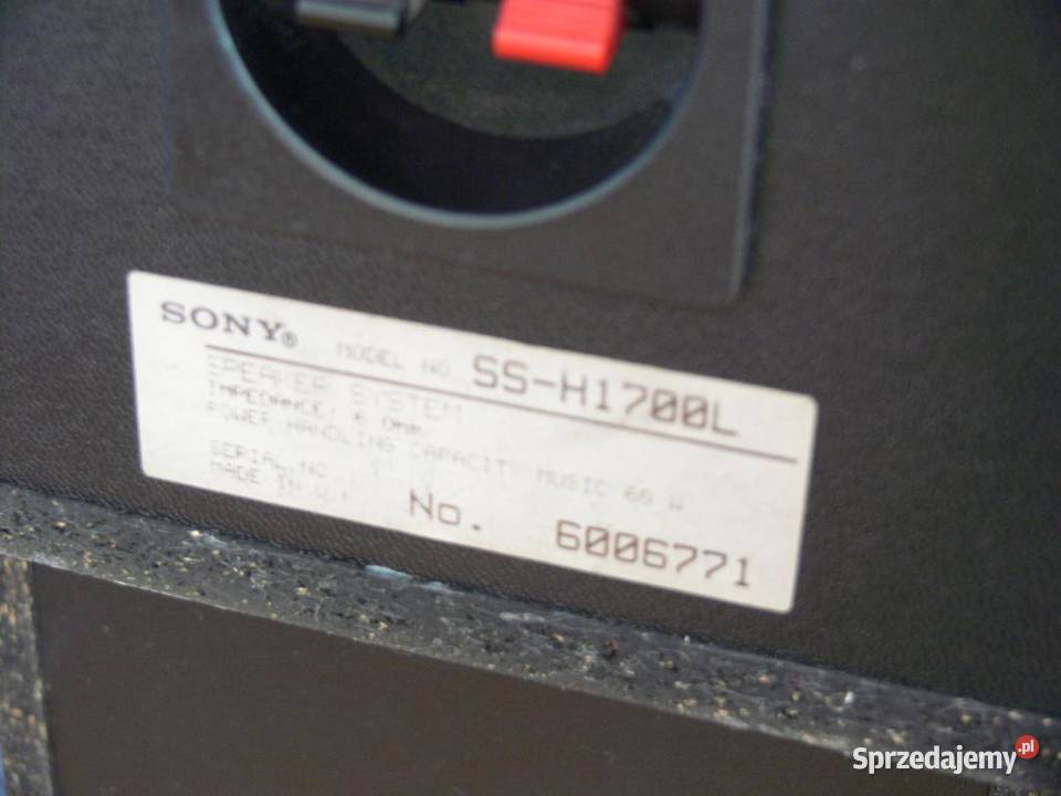 Kolumny Sony SSH1700 sprawne2 x 60 wat WYSYŁKA Jasło
