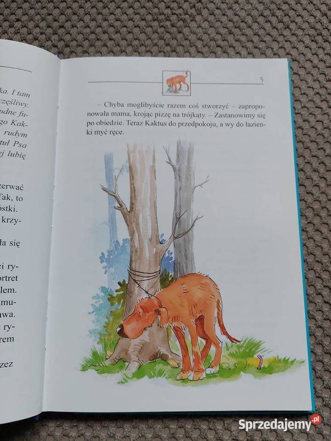 Kaktus wierby przyjaciel Barbara Gawryluk Kraków sprzedam