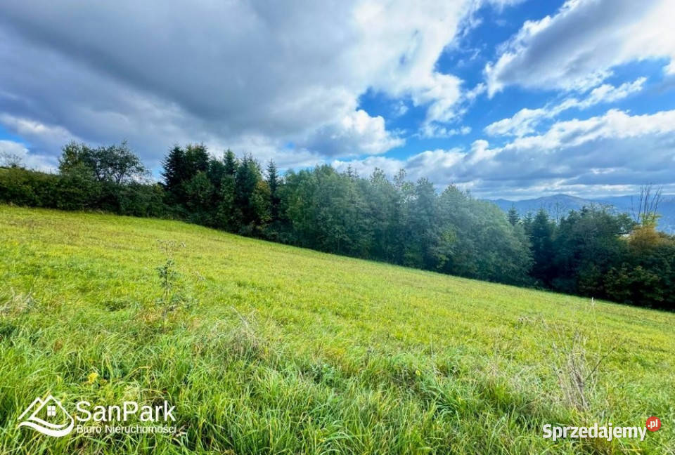 Grunt 3900m2 Wołkowyja woda podkarpackie