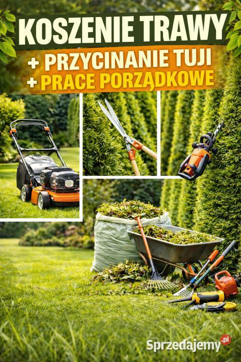 Koszenie trawy prace porządkowe przecinanie tuji ogród