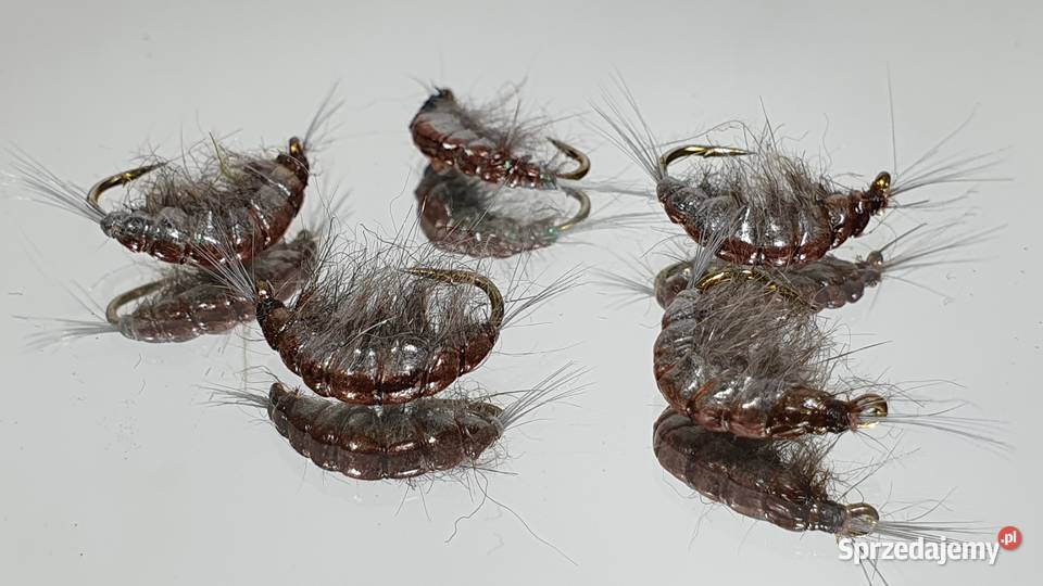 Sztuczne muchy kiełże Leśna
