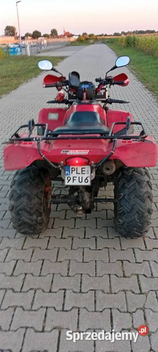 Quad Linhai automatyczna wielkopolskie