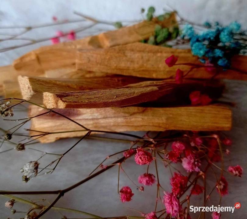 Palo Santo gatunek I klasy