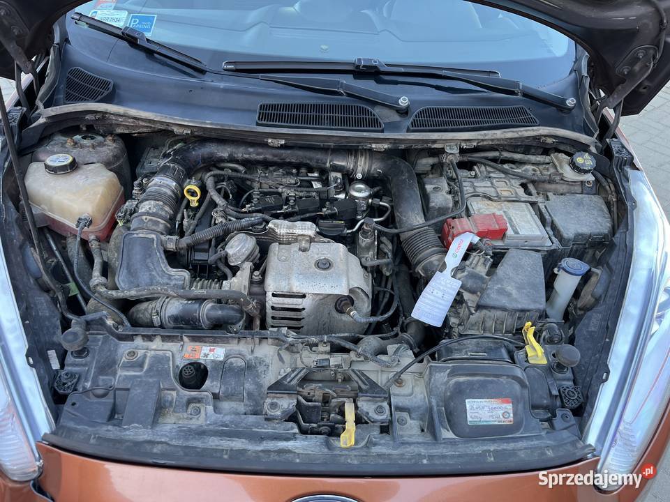 Ford Fiesta Mk7 10 EcoBoost Gold X radio Sony z Proszowice