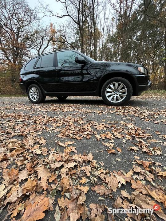 BMW X5 E53 30 i LPG STAG X5 Jasień sprzedam