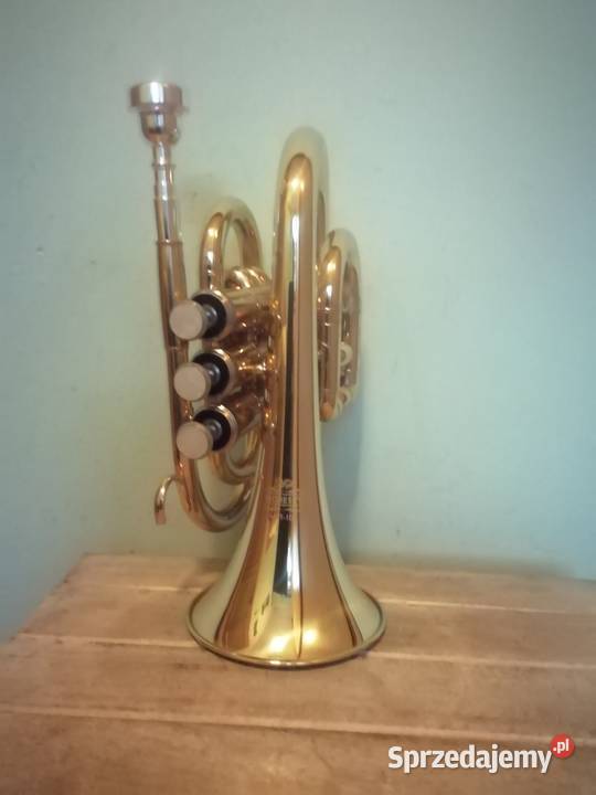 Mosiężna trąbka Kraków sprzedam