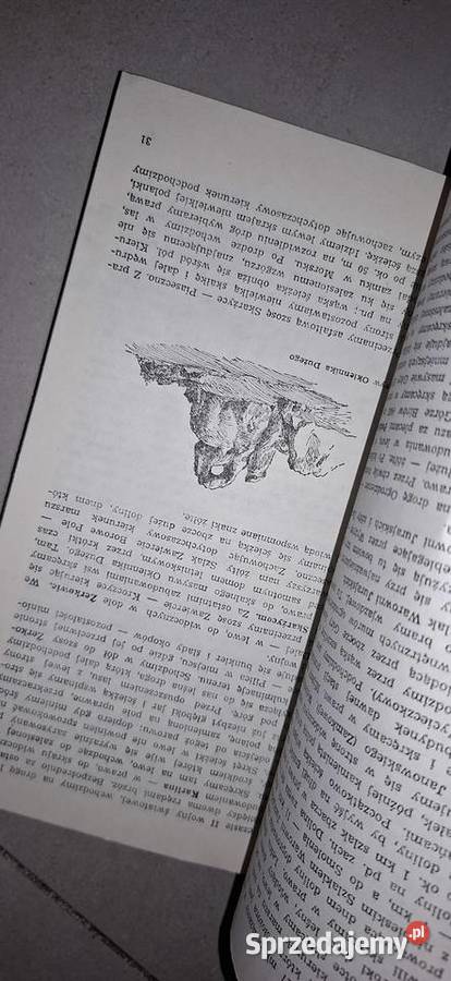 Wyżyna Krakowsko Częstochowska przewodnik 1 Antykwariat wielkopolskie Łęczyca sprzedam