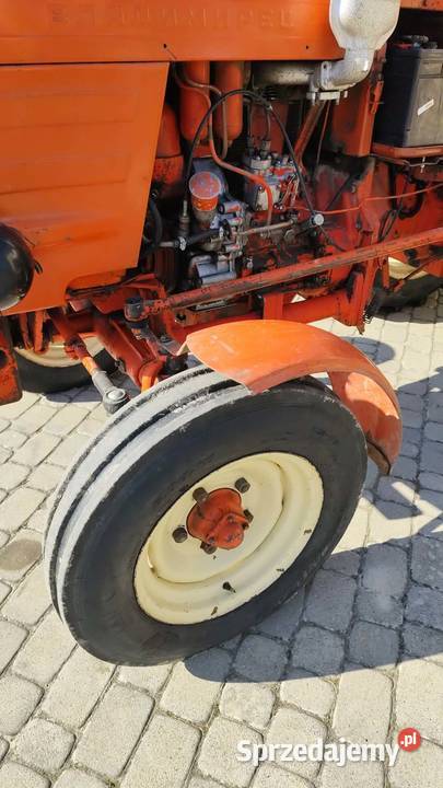 Władimirec pierwszy właściciel podkarpackie Grodzisko Dolne