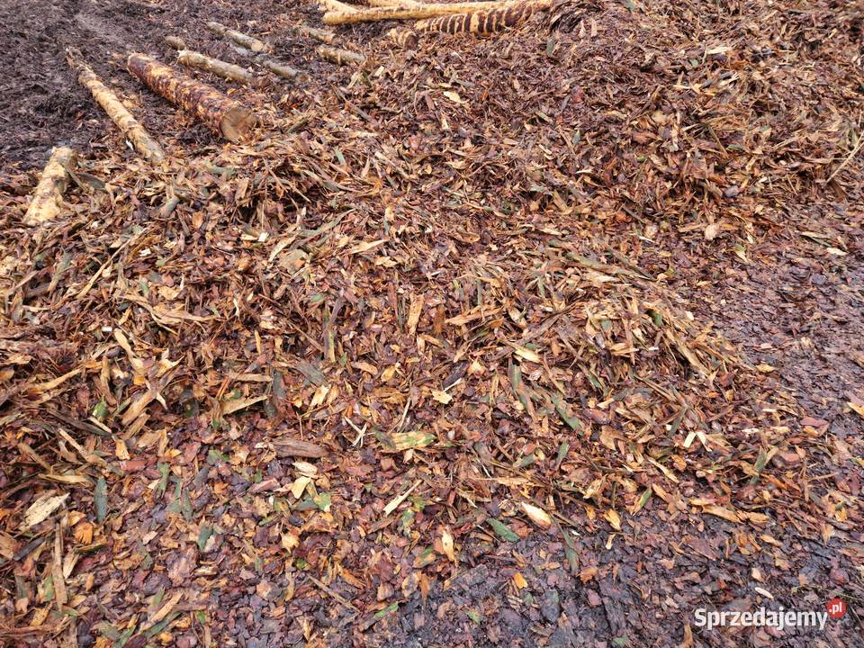 kora sosnowa luzem mieszana frakcja śląskie Krzepice