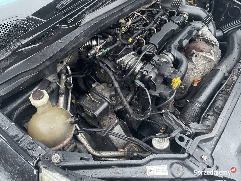 Silnik citroen ford peugeot Volvo 16 hdi tdci małopolskie sprzedam