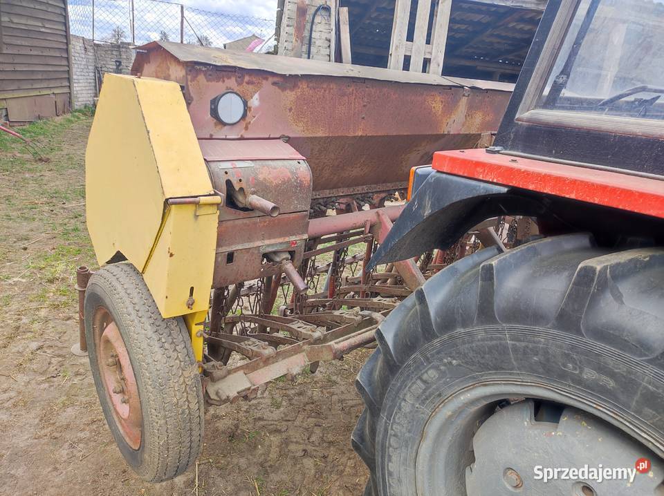 siewnik poznaniak nieuszkodzony Głomsk
