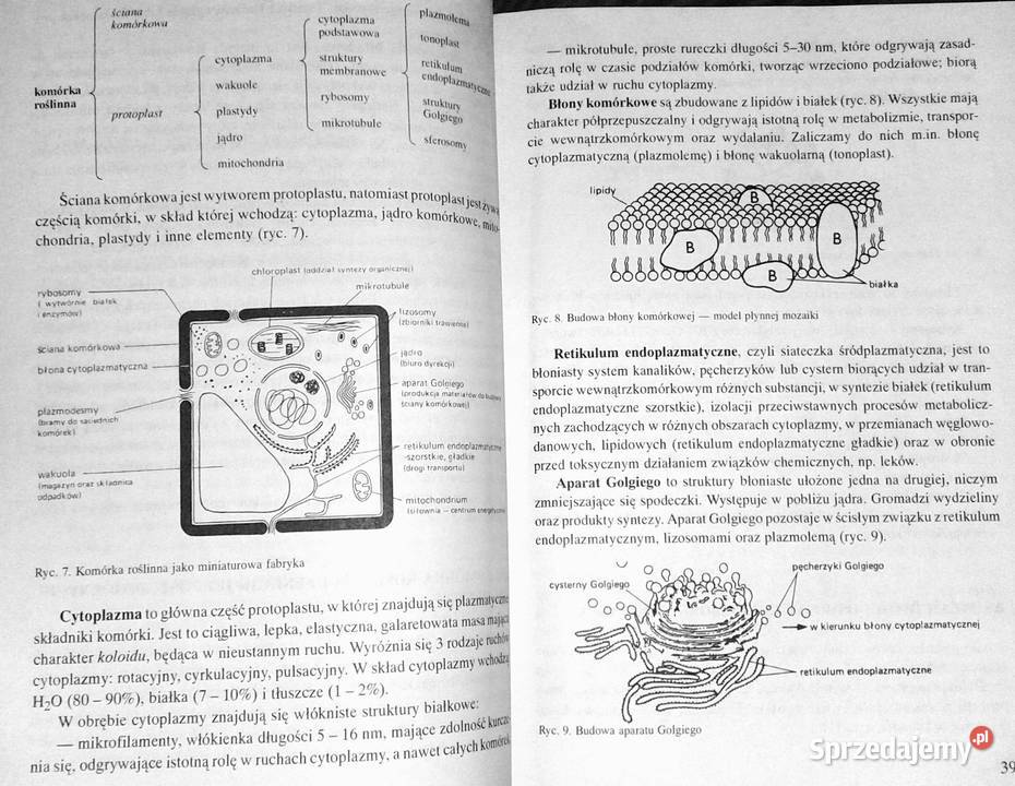 Biologia Vademecum maturzysty Ewa PyłkaGutowska Kultura i Rozrywka Chełm