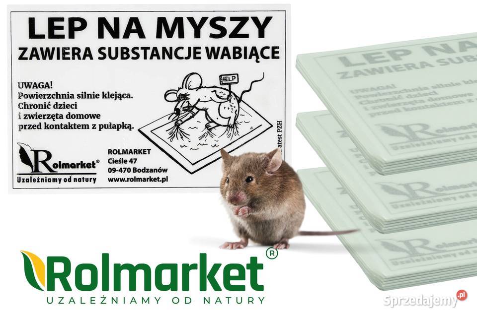 Lep pułapka na myszy z atrakantem wabik lepy Cieśle