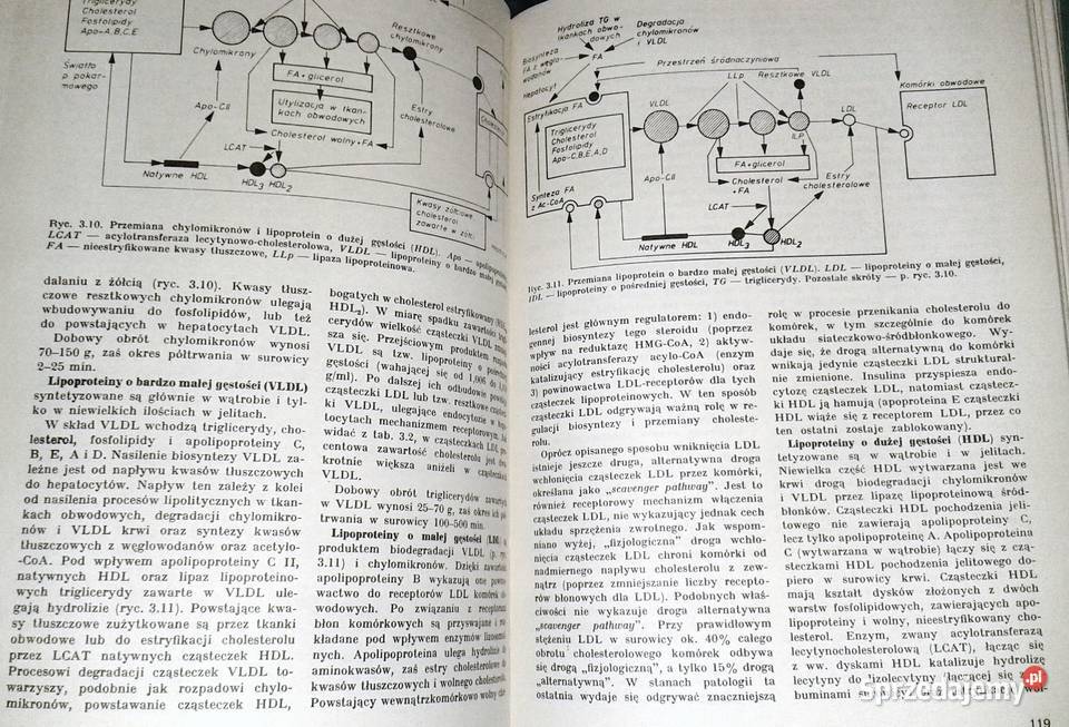 Nauka o chorobach wewnętrznych Tom 4 Witold Chełm sprzedam